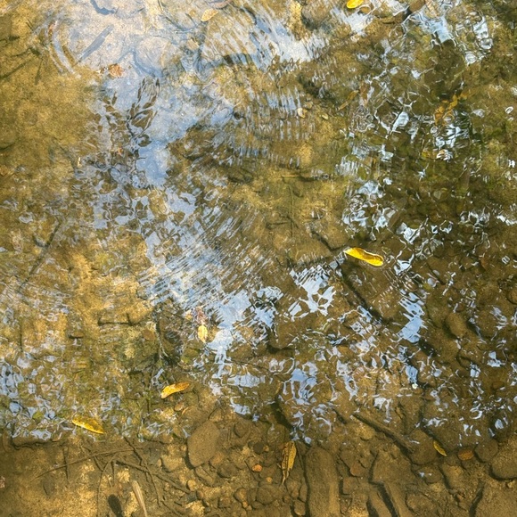 Meet your Posher, Alexius - Picture 3 of 4